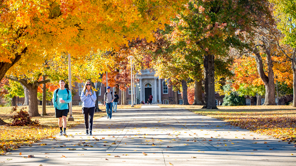 Old Main walk in the fall