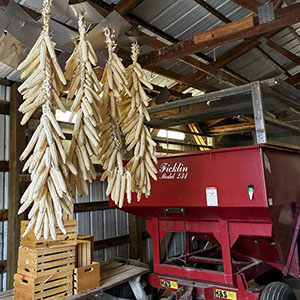 Indigenous Food & Agriculture Initiative