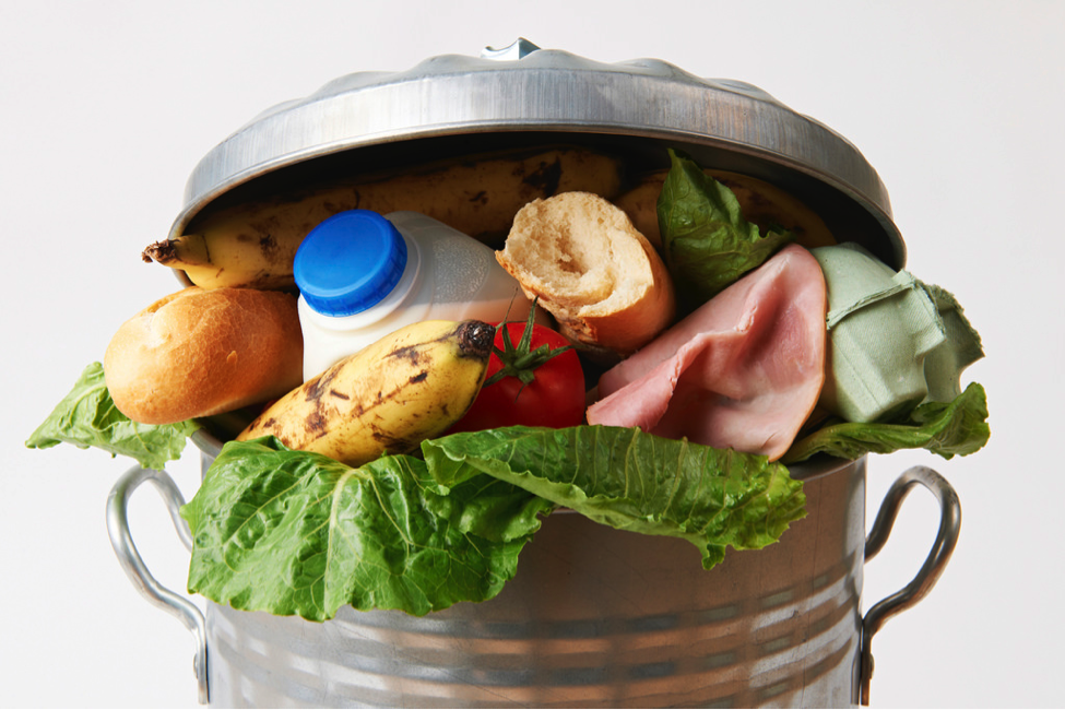 photo of food items in a trash can